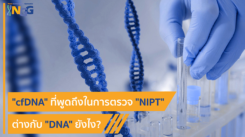 cfDNA ที่พูดถึงในการตรวจ NIPT ต่างกับ DNA ยังไง?