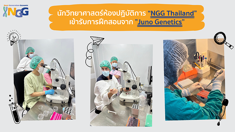 เจ้าหน้าที่นักวิทยาศาสตร์ห้องปฏิบัติการ NGG Thailand เข้ารับการฝึกสอนจาก Juno Genetics