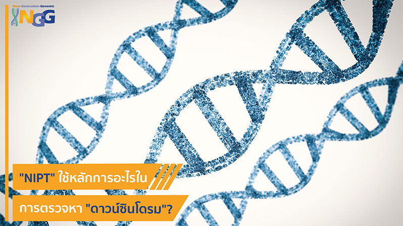 NIPT ใช้หลักการอะไรในการตรวจหาดาวน์ซินโดรม?