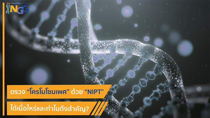 ตรวจโครโมโซมเพศด้วย NIPT ได้เมื่อไหร่ และทำไมถึงสำคัญ?