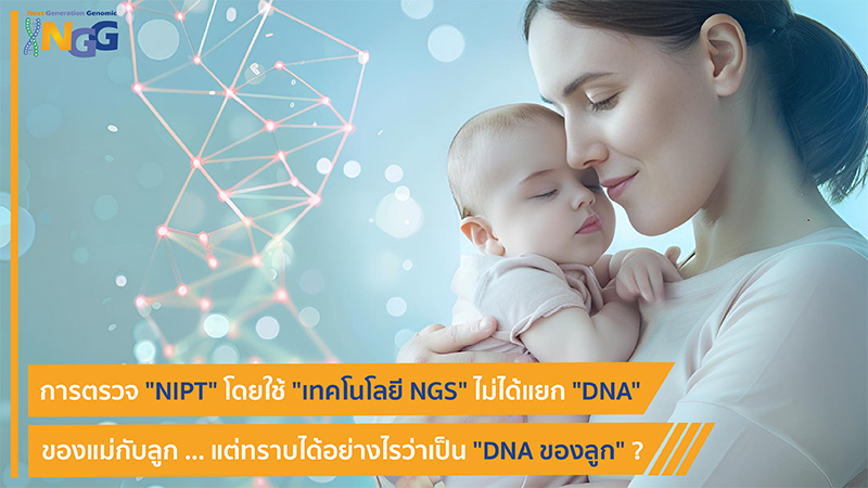 การตรวจ NIPT โดยใช้เทคโนโลยี WGS ไม่ได้แยก DNA ของแม่กับลูก แต่ทราบได้อย่างไรว่าเป็น DNA ของลูก