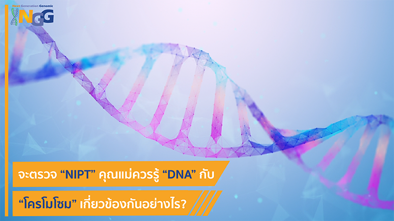จะตรวจ NIPT คุณแม่ควรรู้ DNA กับ โครโมโซม เกี่ยวข้องกันอย่างไร?