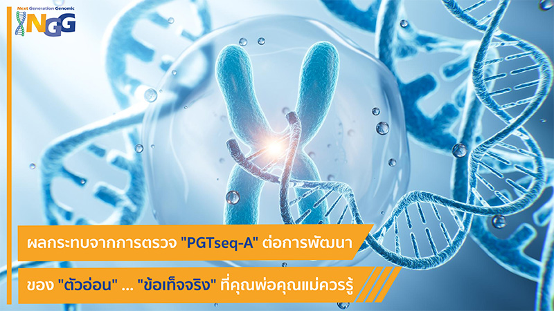 ผลกระทบจากการตรวจ PGTseq-A ต่อการพัฒนาของตัวอ่อน … ข้อเท็จจริงที่คุณพ่อคุณแม่ควรรู้