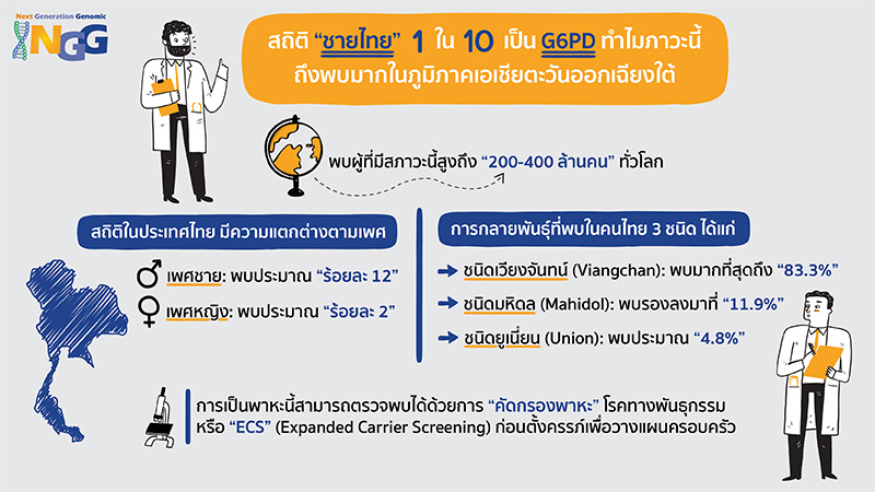 สถิติชายไทย 1 ใน 10 เป็น G6PD ทำไมภาวะนี้ถึงพบมากในภูมิภาคเอเชียตะวันออกเฉียงใต้